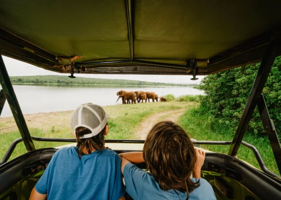 best-website-designing-companies-in-uganda