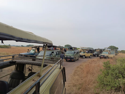 how-to-make-your-travel-website-rank-higher-on-google